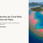 1 Os Recifes de Coral Mais Bonitos de Palau