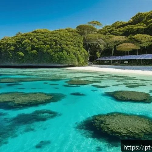 팔라우의 공공서비스와 행정제도 - A vibrant coastal scene in Palau featuring a diverse community engaged in marine conservation activi...
