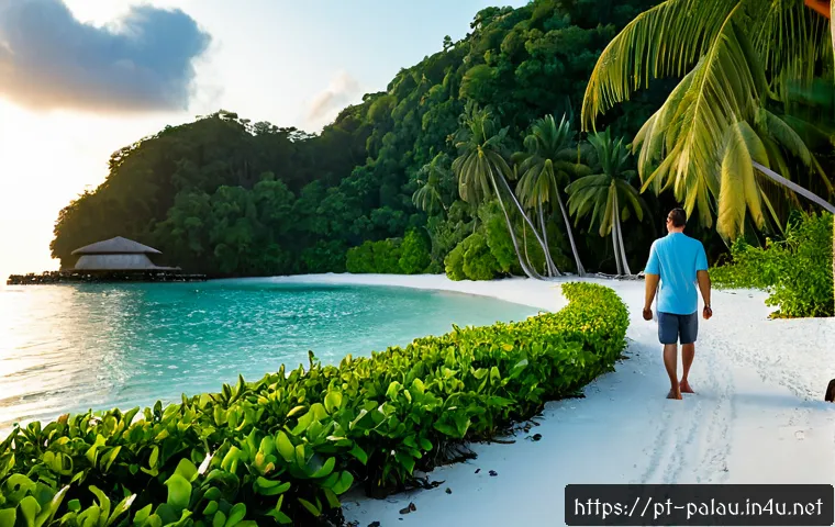 Onde ficar em Palau na lua de mel: resorts românticos, localização e como comparar o custo total 3 팔라우 신혼여행 추천 리조트 관련 이미지 1